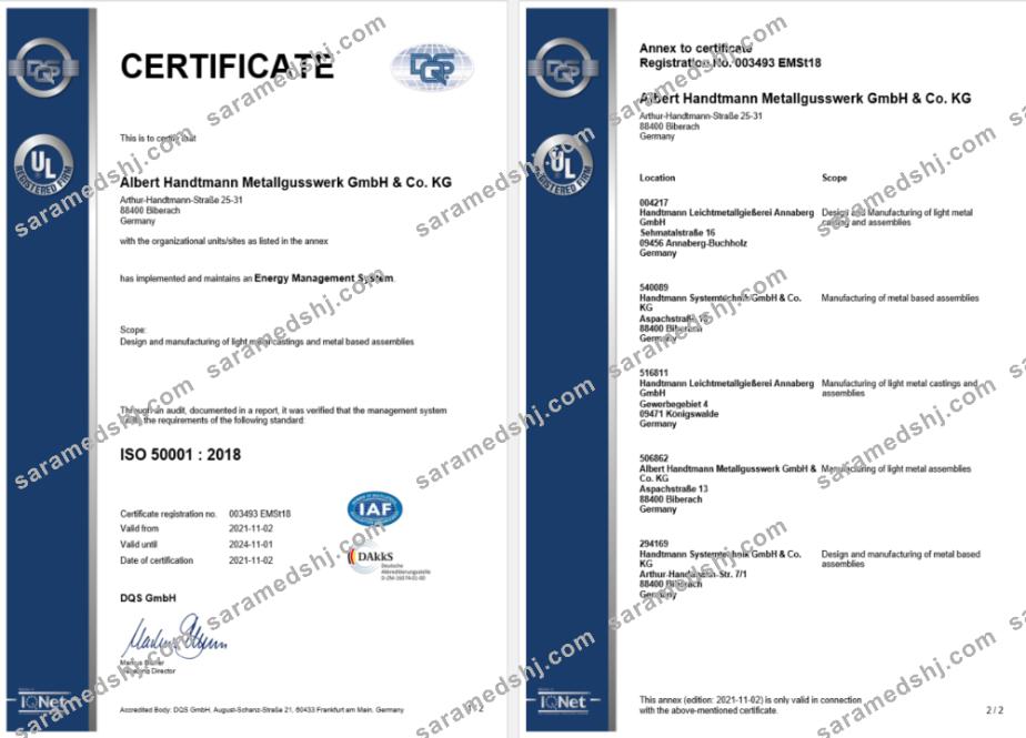 Germany DQS certificate of registration Word and PDF template